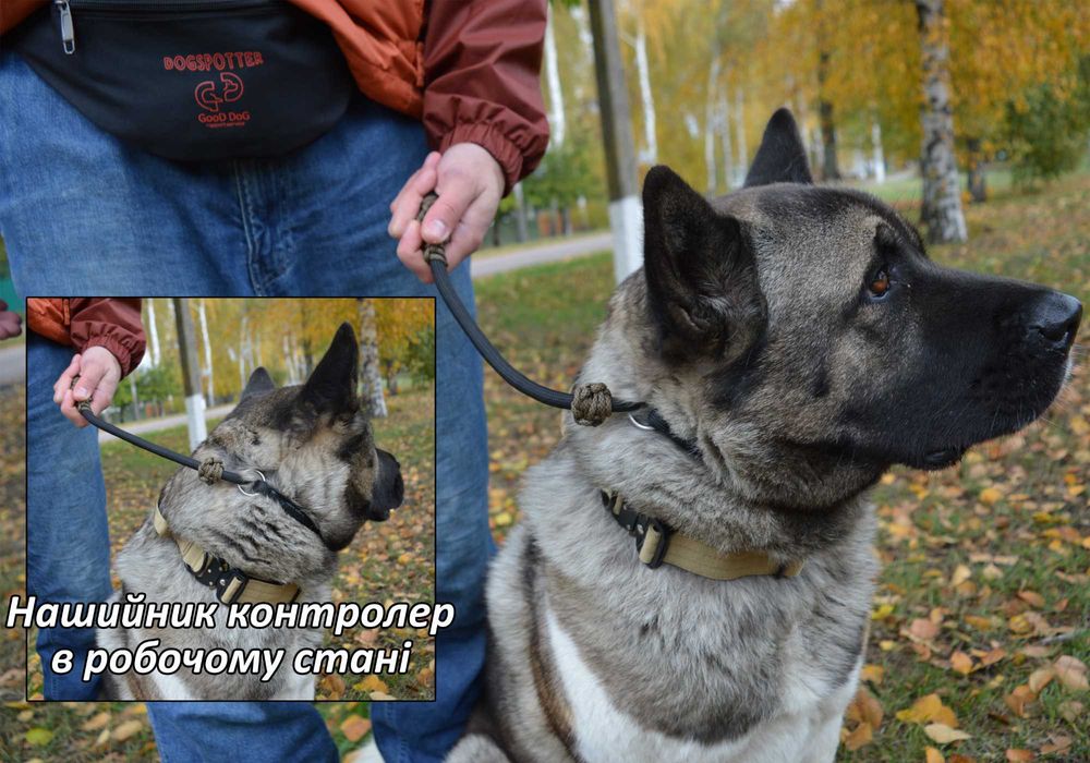 Новинка! Нашийник контролер для собак 10мм | Dogspotter Gen.II