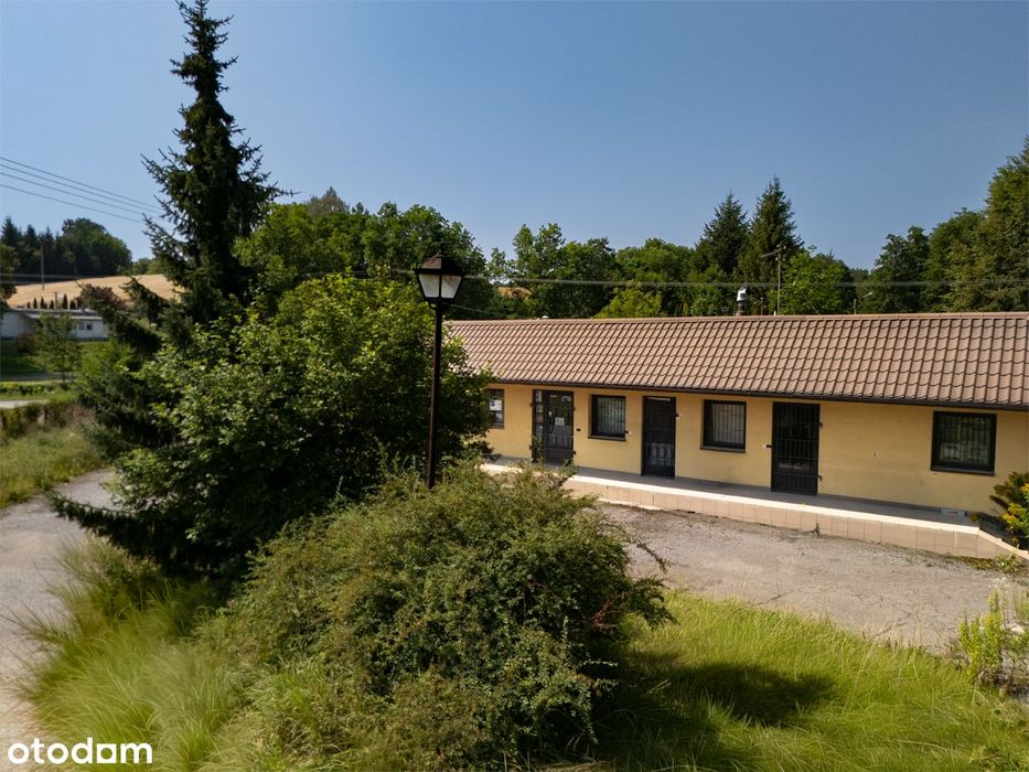 Zdjęcie 6