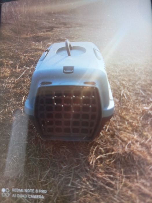 нові італійські переноски для собак котів