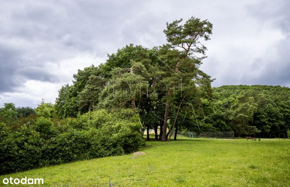 61 m² | 3 niezależne pokoje | 1.piętro | balkon