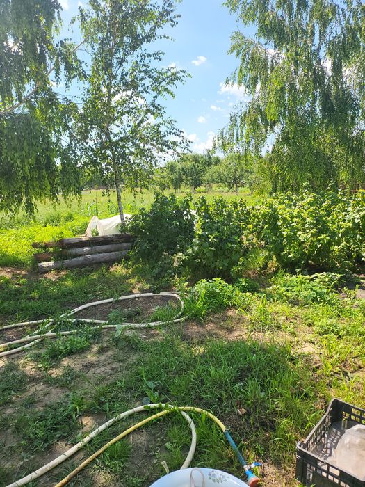 Продажа участка. С. Глибоке .