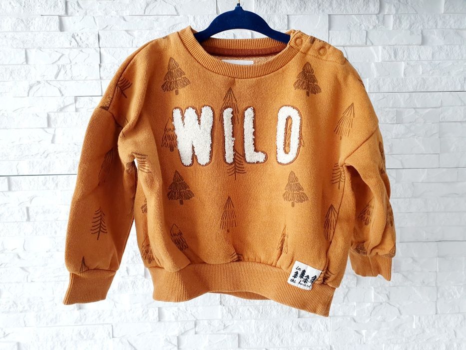 Bluza chłopięca marki Reserved