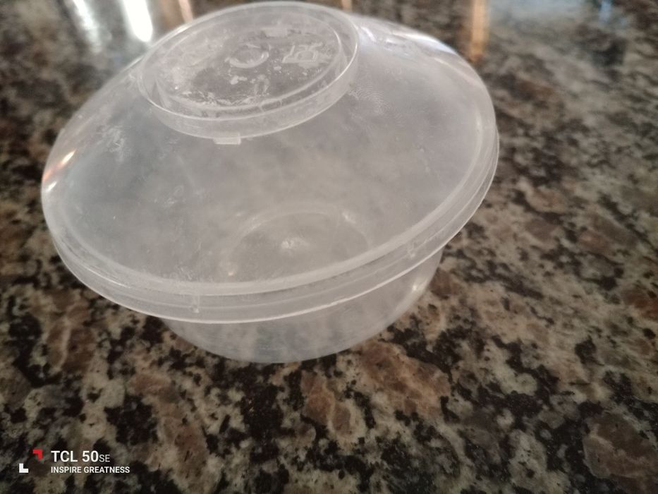 Musgo Java planta aquática de fácil manutenção.
