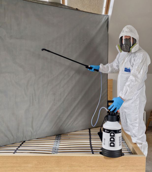 Odpluskwianie PLUSKWY | Dezynsekcja mieszkań | Ozonowanie zapachów