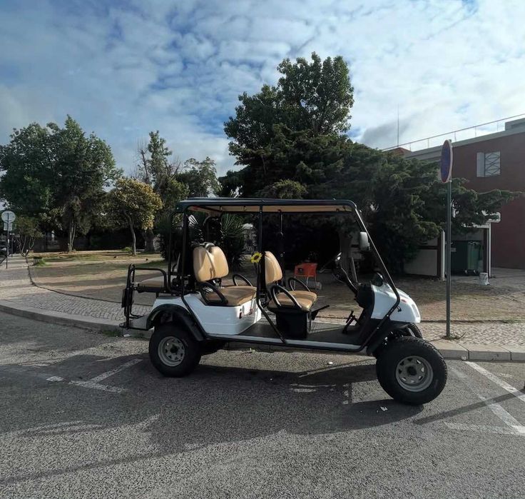 TukTuk Buggy Eagle 4 Lugares