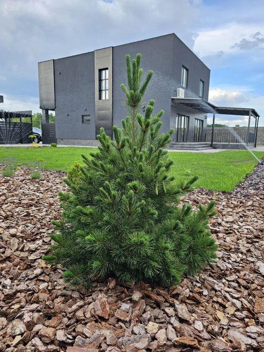 Будинок з Газом!  Villa de Lux, Класний будинок з меблям і техн.12 хв.