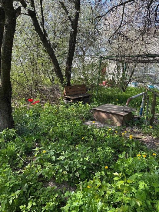 Продам будинок, 54 метри з ділянкою 23 сотки, Велика Димерка