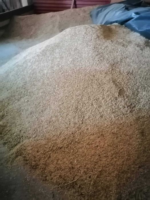 Sprzedam mieszankę zbożową  owies-jęczmień. Możliwość transportu