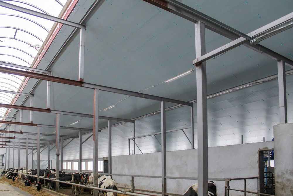 Płyta Izolacyjna Styrodur XPS AGRO Ocieplenie Obory Kurnika Tuczarni