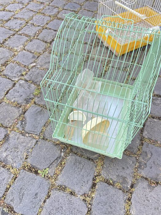 Artigos animais: gaiola, cama gatinho, auxiliar se higiene, wc