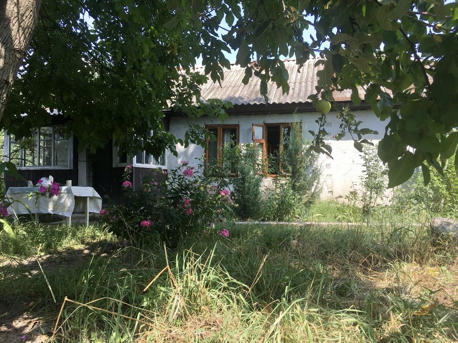 Продам будинок з великою ділянкою в с. Пилиповичі