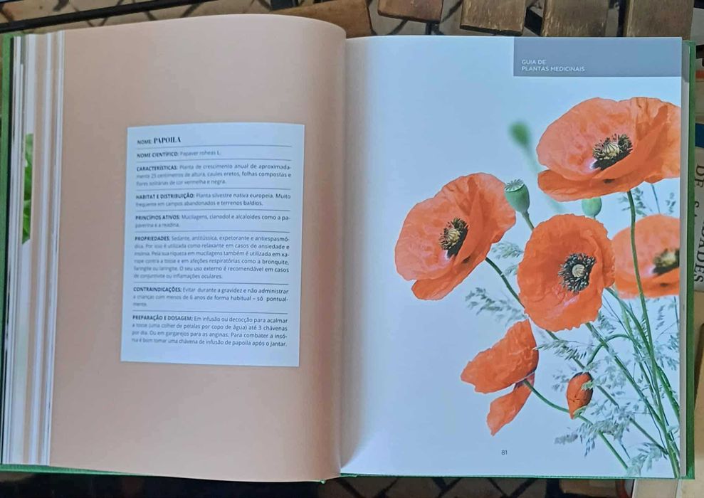 Grande Guia de Medicina naturalista