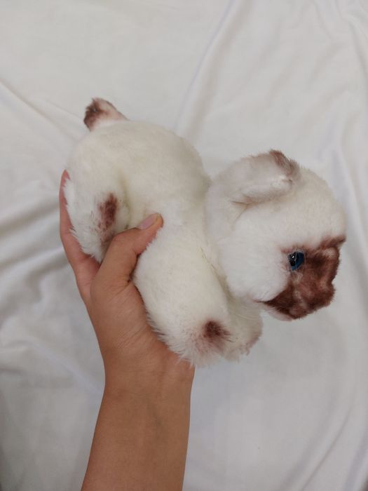 Игрушка, кошка белого цвета