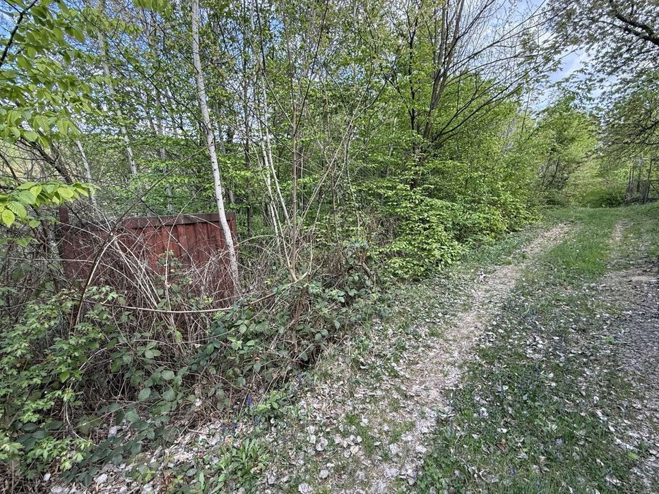 Продам дачну земельну ділянку
