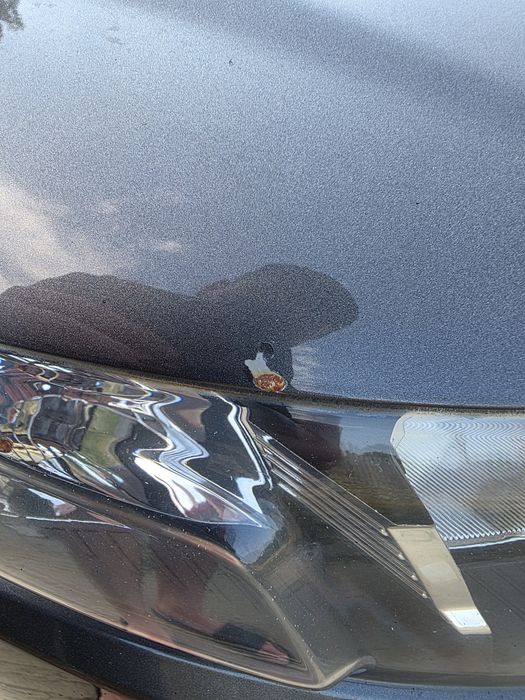 KIA Forte/Cerato 2012
