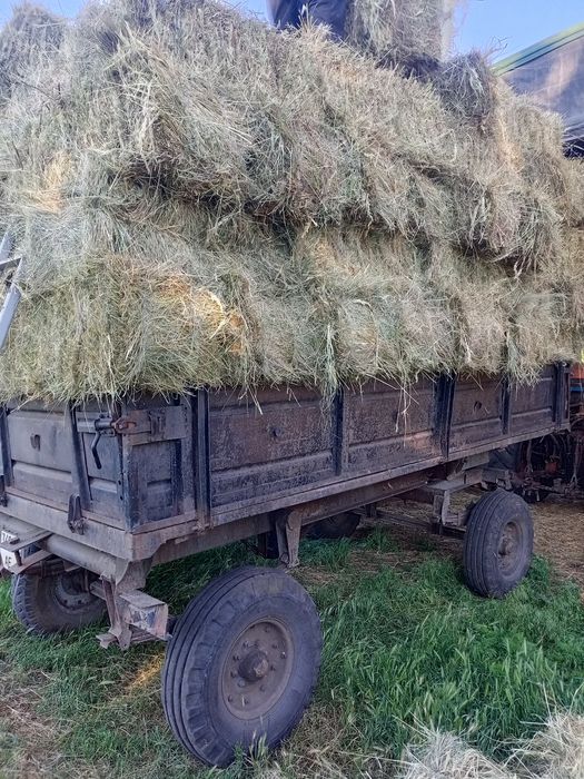 Сіно,сено,солома в тюках