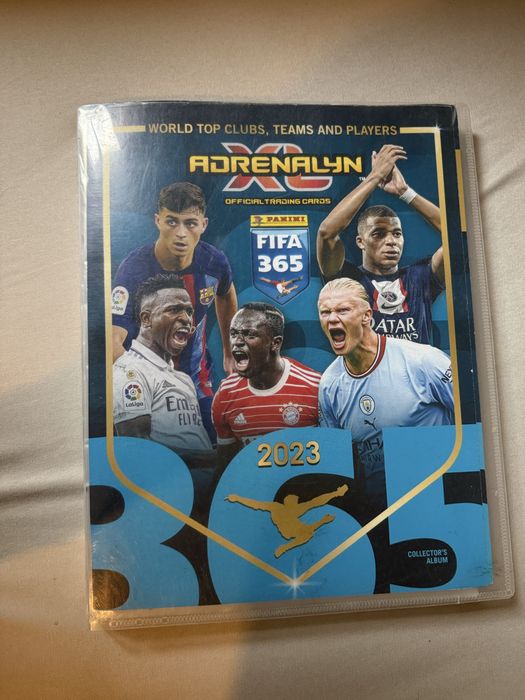 Karty piłkarskie panini 365