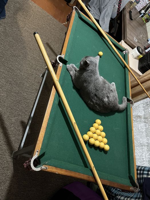 Більярдний стіл.  .