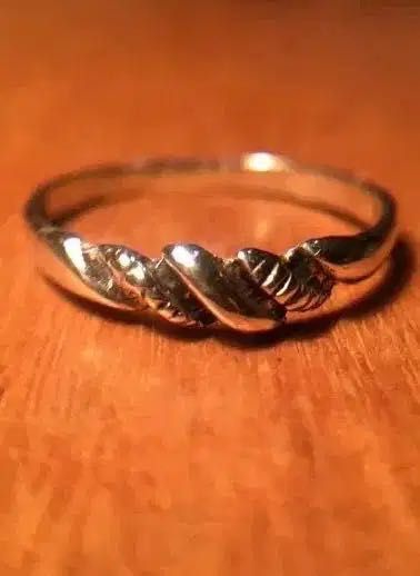 2 ANÉIS de PRATA - diâmetro interno 20 mm - contraste Águia 835