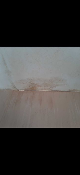 Kontener mieszkalny biurowy custombox Kinga papaj