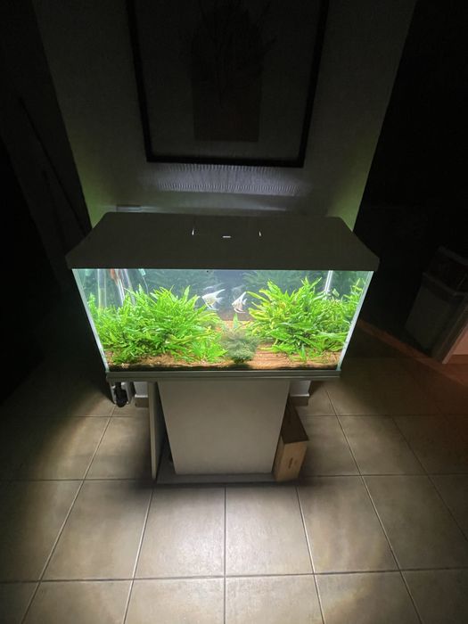 Aquario Aquael com movel 112L