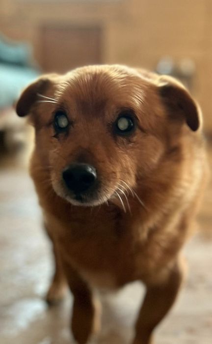 Przekochany Zenuś czeka na cud ...