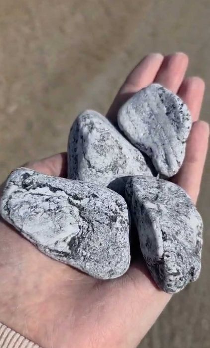 Kamien ogrodowy dalmatynczyk, bazalt