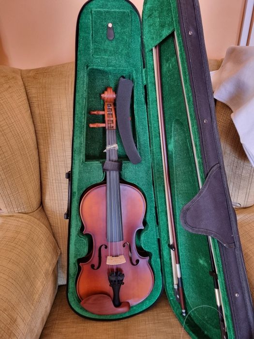 Violino de estudo