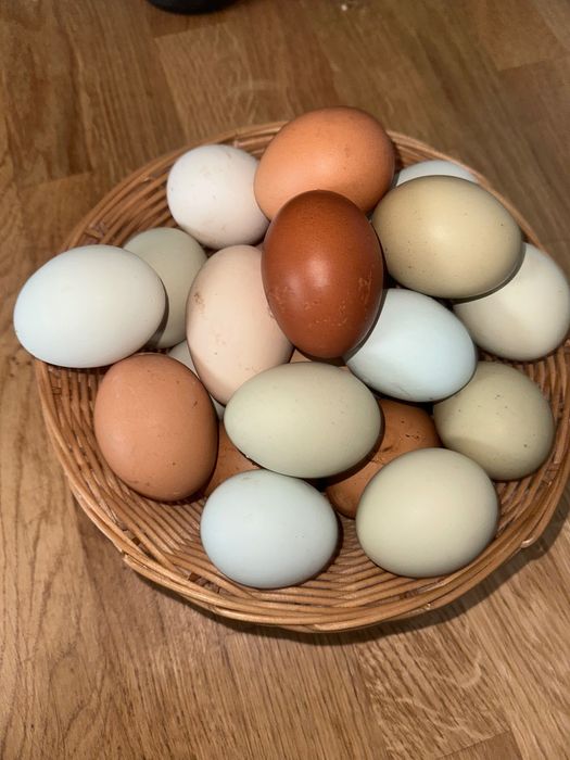 Ovos azuis, verdes, chocolate e  normal caseiros