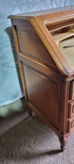 Skretarzyk Ludwikowski