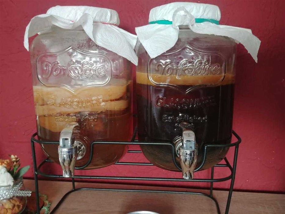 Kombucha/Kombucza  scoby grzyb herbaciany