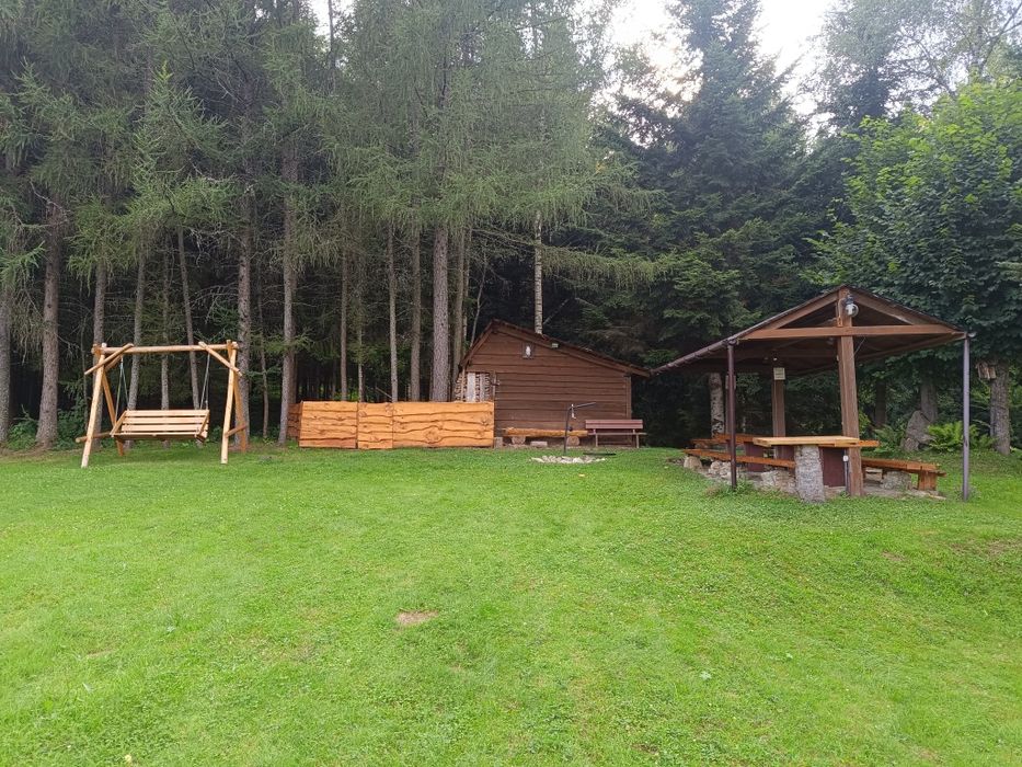 Rekreacja, noclegi, domek letniskowy, leśne zacisze, nad stawem.