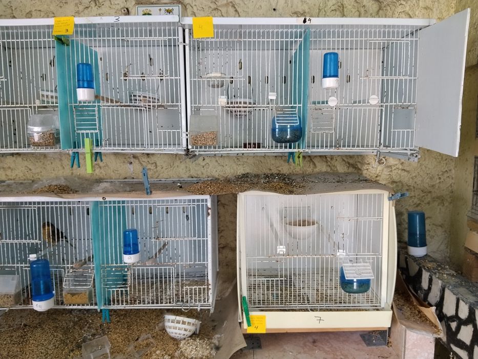 Gaiolas para canarios