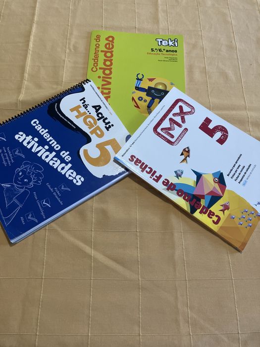 Cadernos de Atividades 5.º Ano NOVOS – Matemática, HGP e Teki