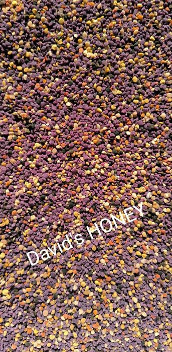 Пилок квітковий бджолиний