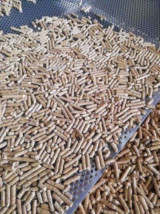 Pellet  Premium Sosna A1 PRODUCENT