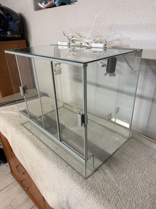 Terrarium dla  małej agamy