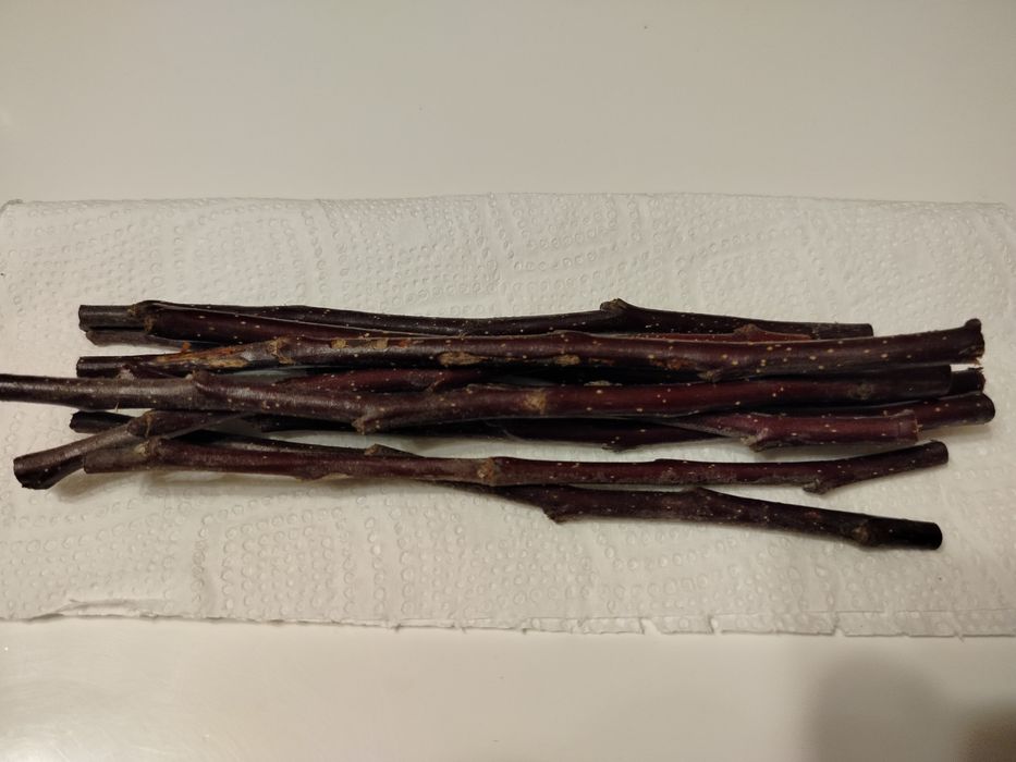 Gałązki jabłoni .