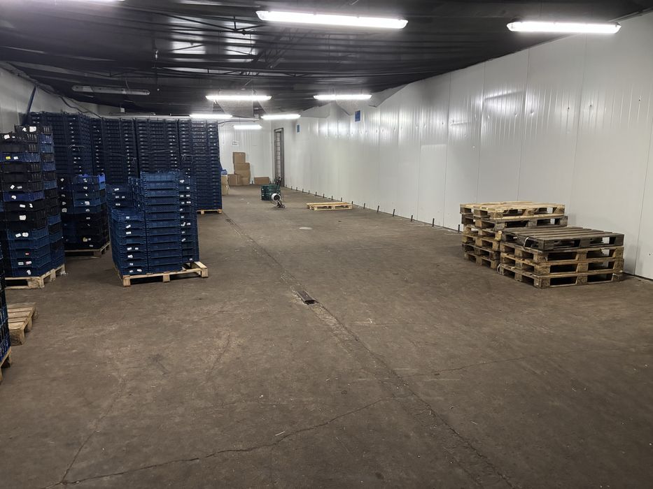 Magazyn, chlodnia, przy trasie S8