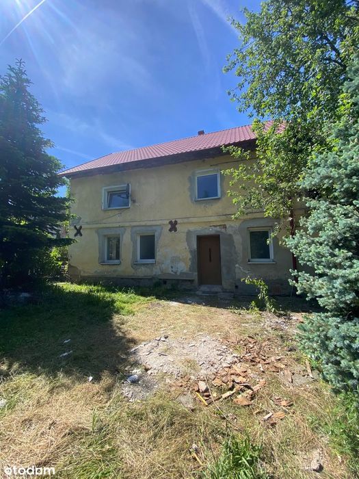 Duża działka | 2 kuchnie | Piwnica i strych - Widok 2