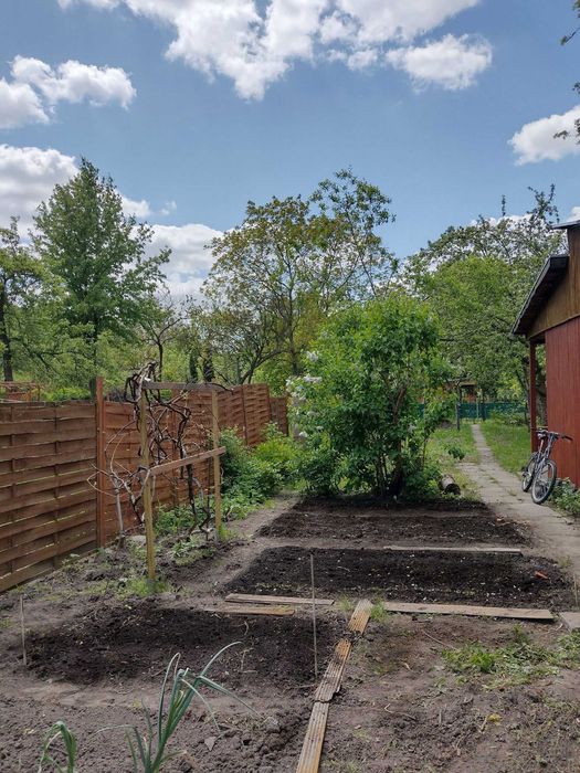 Działka ROD na Ochocie 372 m² - Więcej