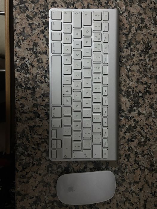 Teclado + magic mouse apple