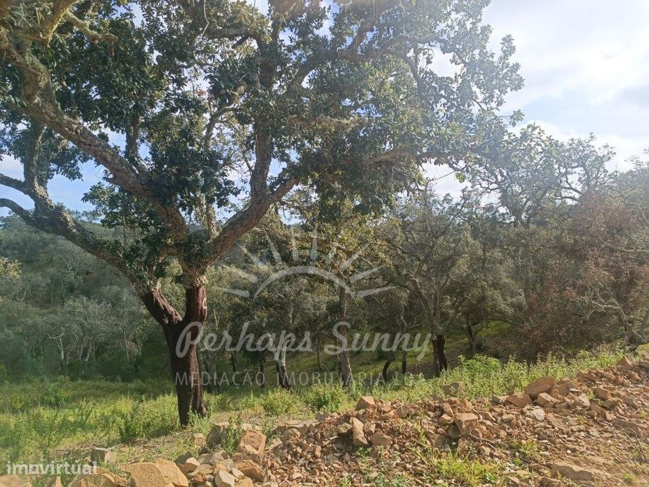 Terreno Rustico São Francisco da Serra