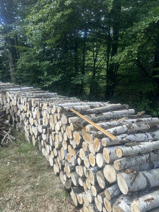 Drzewo opałowe do kominka i pieca