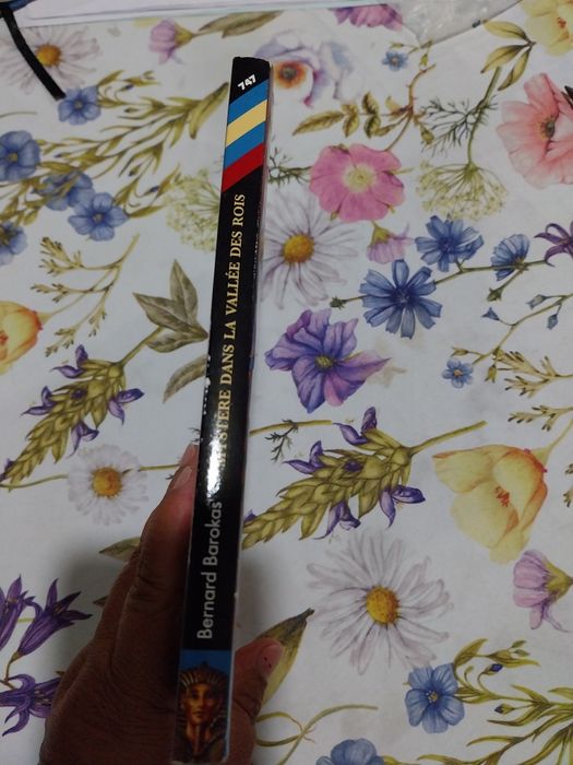 Mystère dans la Vallée des rois. Portes incluídos