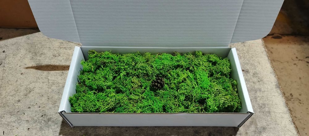 Mech Chrobotek 50 zł  1 kg