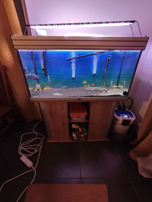 Aquário de 300 litros como novo.