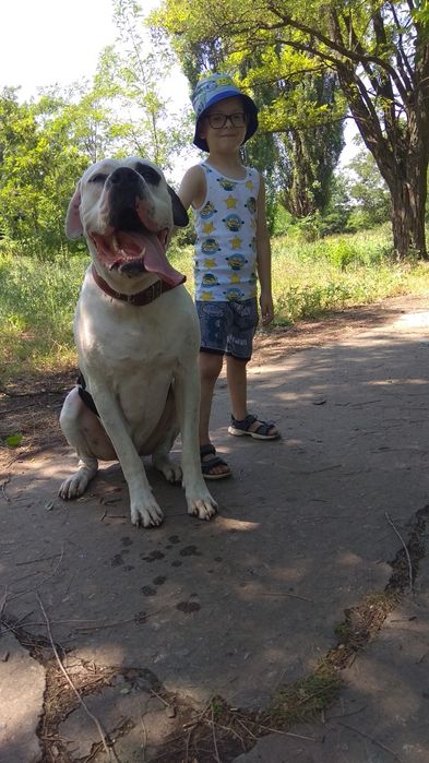 Ищет даму сердца