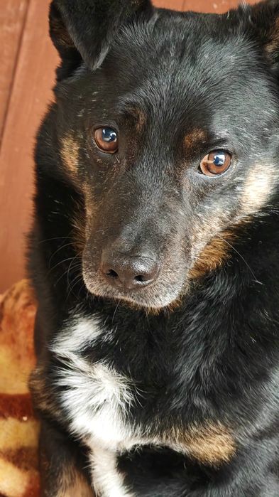 Czyja zguba? Sandomierz