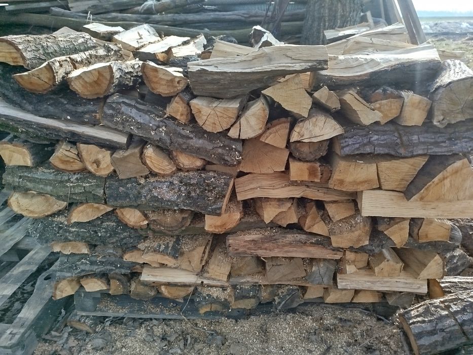 Drewno opałowe brzoza dąb sosna